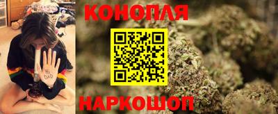 прущие грибы Комсомольск-на-Амуре