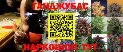 прущие грибы Комсомольск-на-Амуре