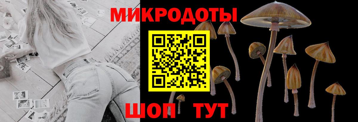 Корсаков  Псилоцибиновые грибы ЛСД  Вход с VPN 