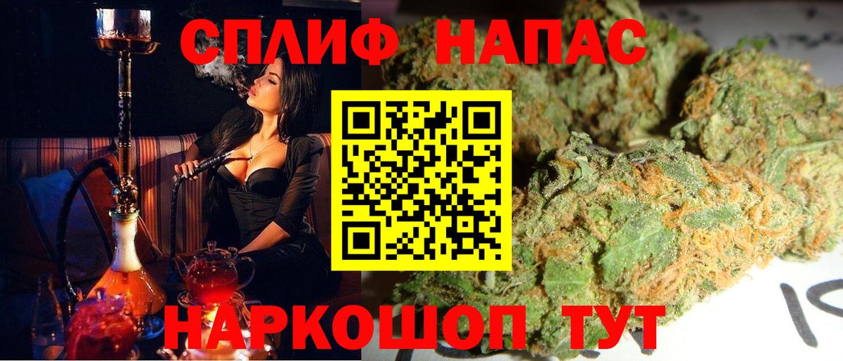 Каннабис сатива Корсаков